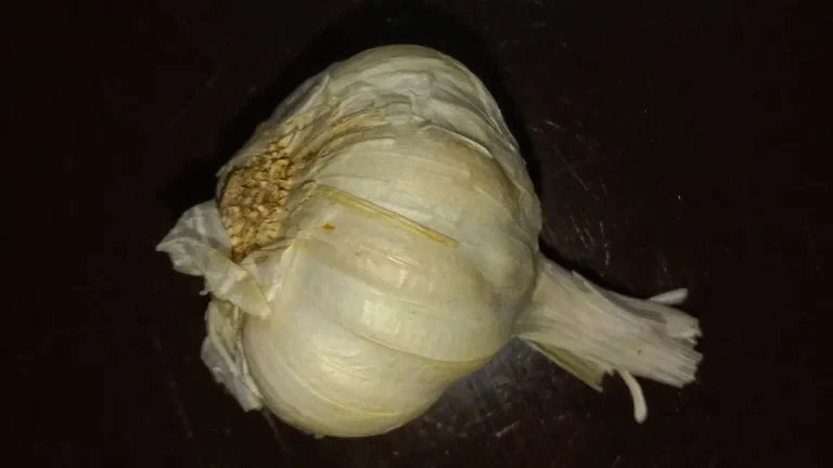 Garlic bulbs and cloves (Allium sativum)