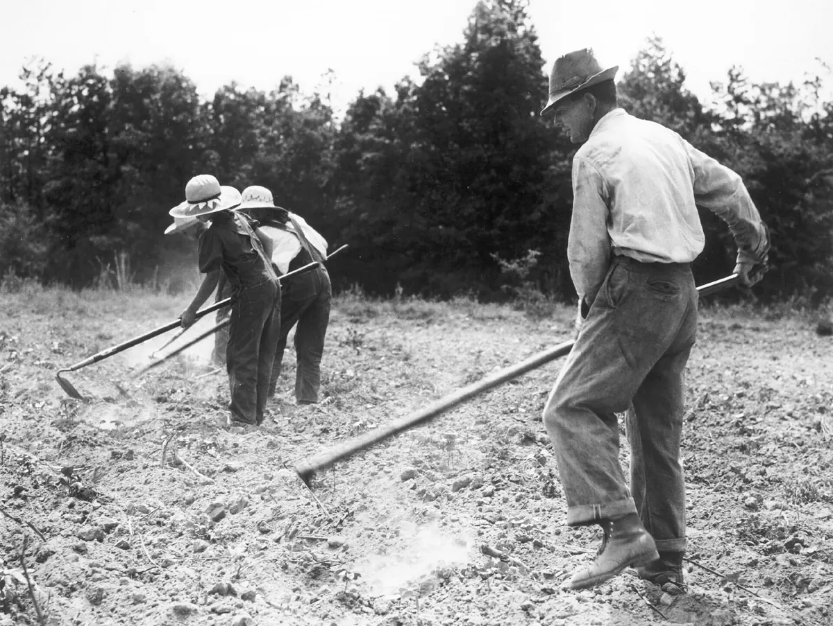 Natural weed killer